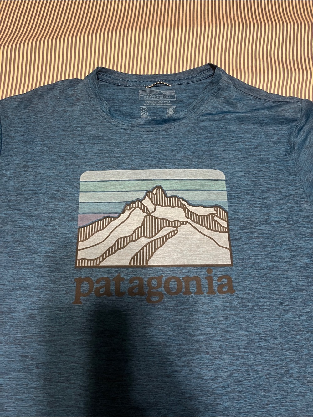 Patagonia capilene cool daily t-shirt